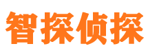 宁都外遇调查取证